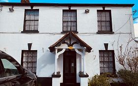The Lion Brewery